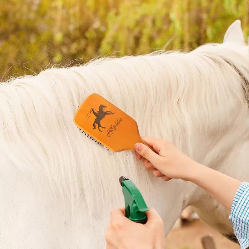 Engraved Name Horse Brush Set in Grass Tree Wood, Customized Pony Grooming Comb Brush with Custom Image + Name, Gift for Horse Owner/Rider